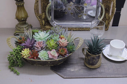 Artificial Succulents Plants Unpotted -14 Pack– Large Fake Succulent Plant Indoor Outdoors – Realistic Faux Cactus Suculentas Bulk for Home DIY Décor – Small Desert Plastic Cacti Succulants