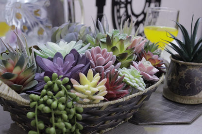 Artificial Succulents Plants Unpotted -14 Pack– Large Fake Succulent Plant Indoor Outdoors – Realistic Faux Cactus Suculentas Bulk for Home DIY Décor – Small Desert Plastic Cacti Succulants