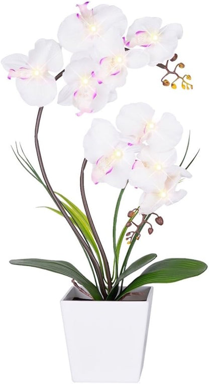 Orchid Lamp-LED Lighted Orchid Arrangements,Pre Lit Artificial Orchid,Light Up Flower Lights, Faux Orchid Phalaenopsis Arrangement (White)