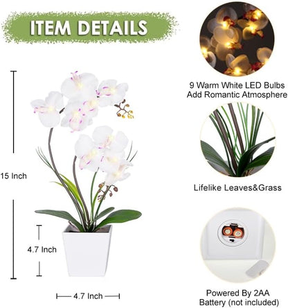 Orchid Lamp-LED Lighted Orchid Arrangements,Pre Lit Artificial Orchid,Light Up Flower Lights, Faux Orchid Phalaenopsis Arrangement (White)