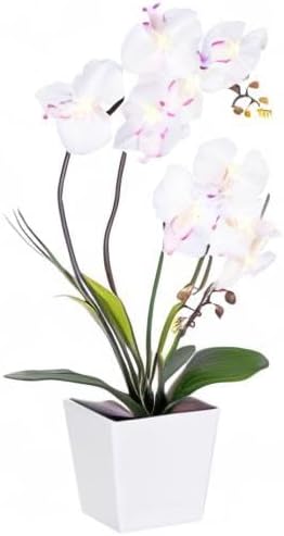 Orchid Lamp-LED Lighted Orchid Arrangements,Pre Lit Artificial Orchid,Light Up Flower Lights, Faux Orchid Phalaenopsis Arrangement (White)