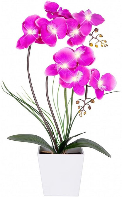 Orchid Lamp-LED Lighted Orchid Arrangements,Pre Lit Artificial Orchid,Light Up Flower Lights, Faux Orchid Phalaenopsis Arrangement (White)