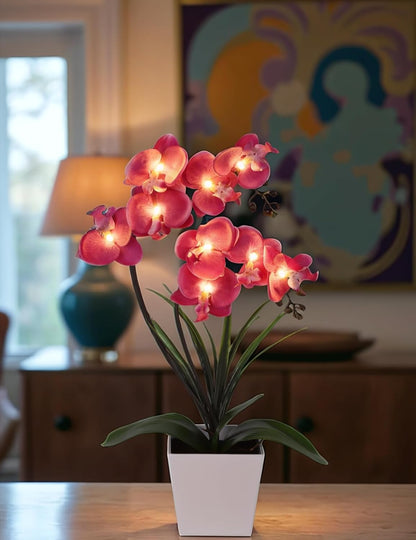 Orchid Lamp-LED Lighted Orchid Arrangements,Pre Lit Artificial Orchid,Light Up Flower Lights, Faux Orchid Phalaenopsis Arrangement (White)