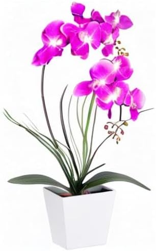 Orchid Lamp-LED Lighted Orchid Arrangements,Pre Lit Artificial Orchid,Light Up Flower Lights, Faux Orchid Phalaenopsis Arrangement (White)