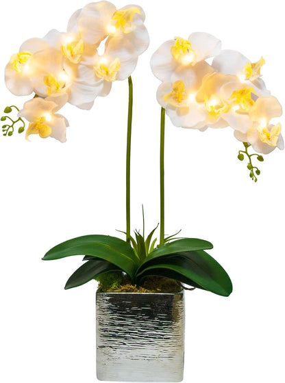 Orchid Lamp-LED Lighted Orchid Arrangements,Pre Lit Artificial Orchid,Light Up Flower Lights, Faux Orchid Phalaenopsis Arrangement (White)