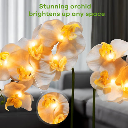 Orchid Lamp-LED Lighted Orchid Arrangements,Pre Lit Artificial Orchid,Light Up Flower Lights, Faux Orchid Phalaenopsis Arrangement (White)
