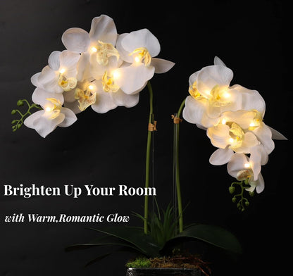 Orchid Lamp-LED Lighted Orchid Arrangements,Pre Lit Artificial Orchid,Light Up Flower Lights, Faux Orchid Phalaenopsis Arrangement (White)