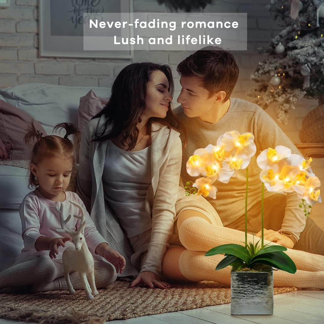 Orchid Lamp-LED Lighted Orchid Arrangements,Pre Lit Artificial Orchid,Light Up Flower Lights, Faux Orchid Phalaenopsis Arrangement (White)
