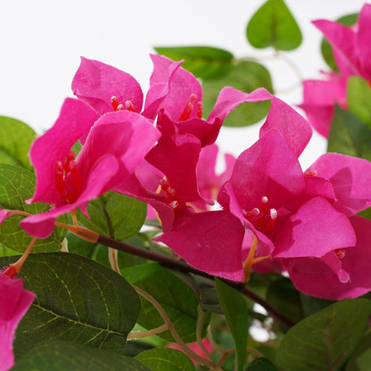 2 Pack Artificial Camellia Tree with White Pot, 38" Faux Potted Plants for Indoor Outdoor Decor, Tall Silk Greenery Plant for Home Offce Living Room Balcony, Pink