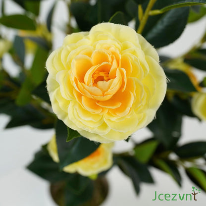 2 Pack Artificial Camellia Tree with White Pot, 38" Faux Potted Plants for Indoor Outdoor Decor, Tall Silk Greenery Plant for Home Offce Living Room Balcony, Pink