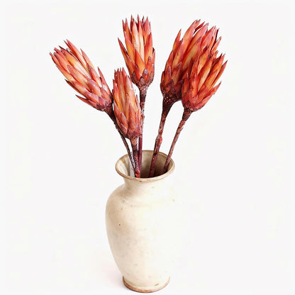 4 Stems Natural Dried Protea Repens - Real Dried Flower Arrangements