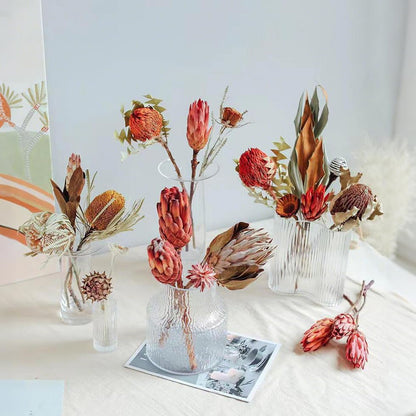 4 Stems Natural Dried Protea Repens - Real Dried Flower Arrangements