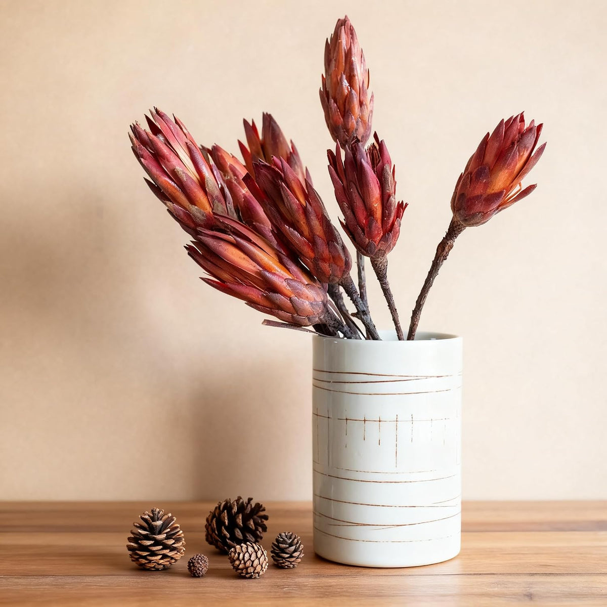 4 Stems Natural Dried Protea Repens - Real Dried Flower Arrangements
