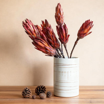 4 Stems Natural Dried Protea Repens - Real Dried Flower Arrangements