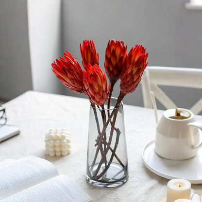 4 Stems Natural Dried Protea Repens - Real Dried Flower Arrangements
