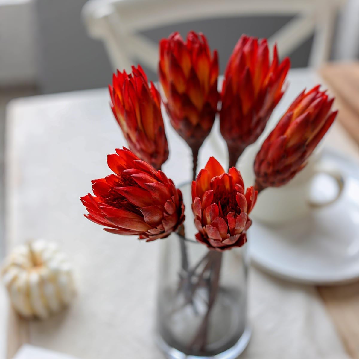 4 Stems Natural Dried Protea Repens - Real Dried Flower Arrangements