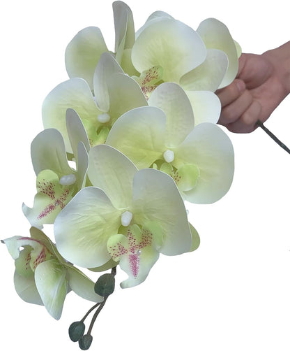 32" Artificial Phalaenopsis Flowers 6 Pcs Artificial Orchid Flowers Stem Plants for Home Décor (6Pcs)