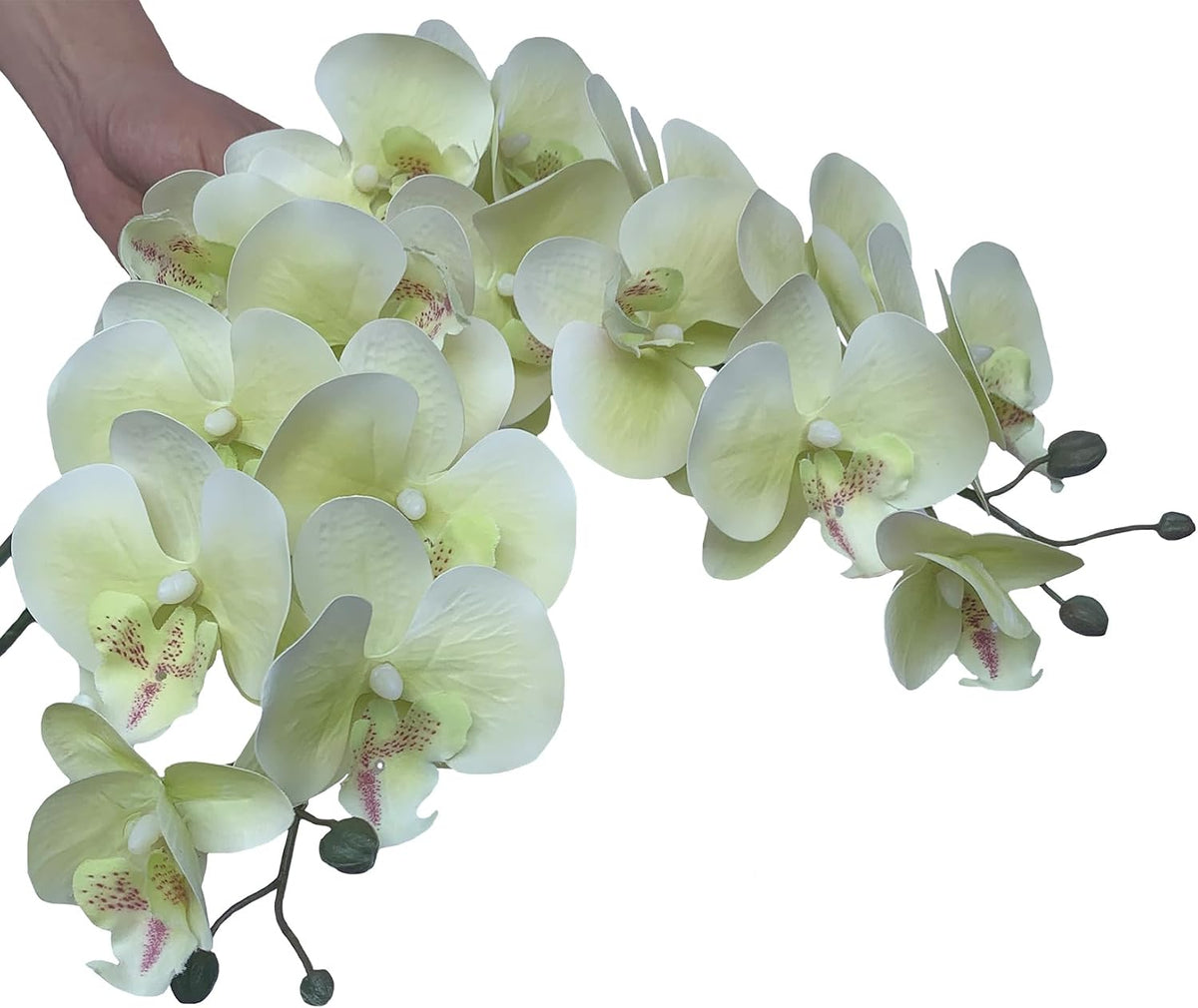 32" Artificial Phalaenopsis Flowers 6 Pcs Artificial Orchid Flowers Stem Plants for Home Décor (6Pcs)