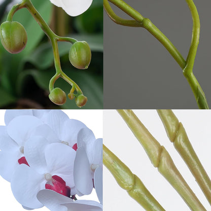 32" Artificial Phalaenopsis Flowers 6 Pcs Artificial Orchid Flowers Stem Plants for Home Décor (6Pcs)