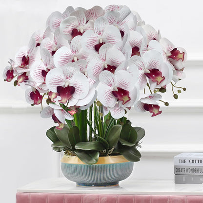 32" Artificial Phalaenopsis Flowers 6 Pcs Artificial Orchid Flowers Stem Plants for Home Décor (6Pcs)