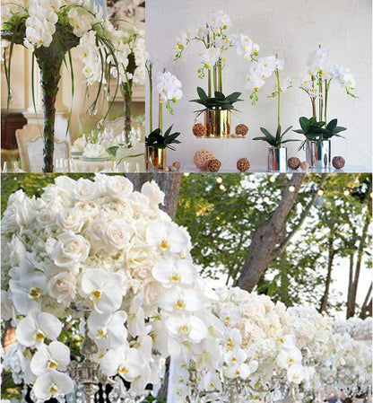 32" Artificial Phalaenopsis Flowers 6 Pcs Artificial Orchid Flowers Stem Plants for Home Décor (6Pcs)