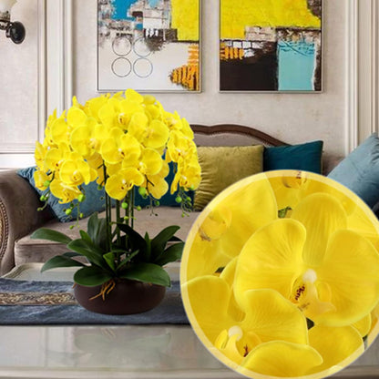 32" Artificial Phalaenopsis Flowers 6 Pcs Artificial Orchid Flowers Stem Plants for Home Décor (6Pcs)