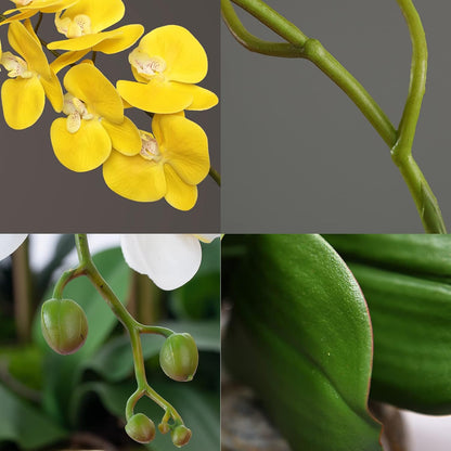 32" Artificial Phalaenopsis Flowers 6 Pcs Artificial Orchid Flowers Stem Plants for Home Décor (6Pcs)