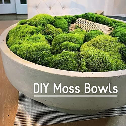 Preserved Pole Moss Pillow Bun Cushion Natural Green Decorative Real Natural Green DIY Kit Terrariums Gardenning Art Wall Decor Florist Decor Easter Table Wedding(1.5 sq.ft, Green-B)