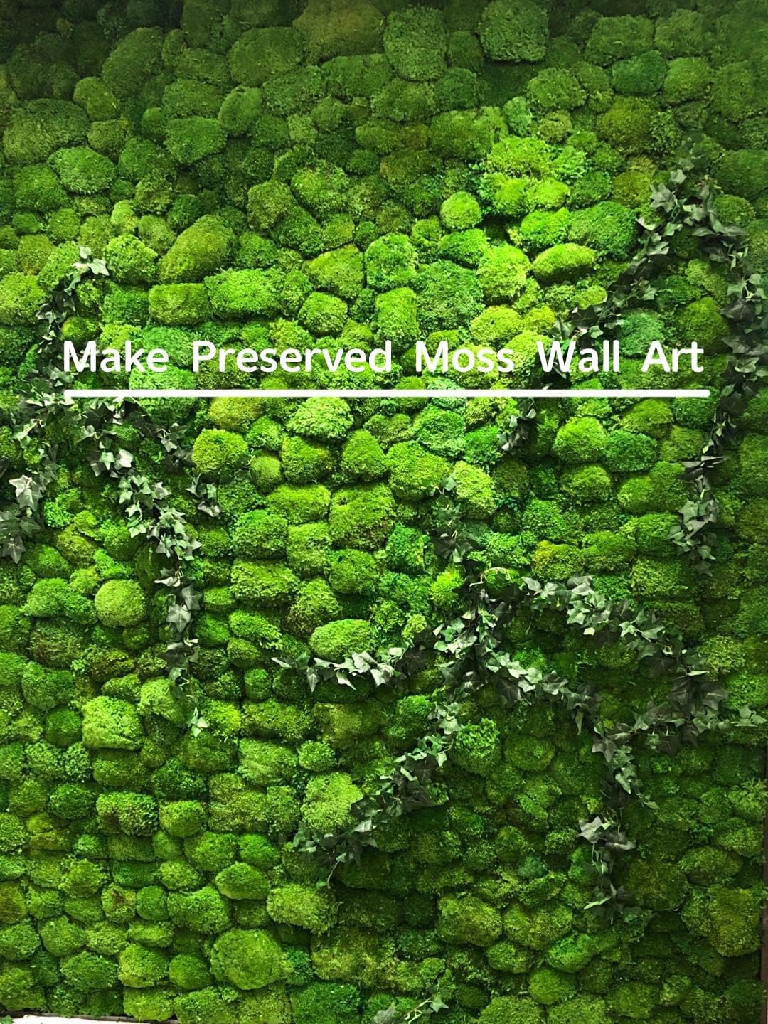 Preserved Pole Moss Pillow Bun Cushion Natural Green Decorative Real Natural Green DIY Kit Terrariums Gardenning Art Wall Decor Florist Decor Easter Table Wedding(1.5 sq.ft, Green-B)