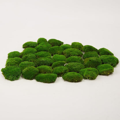 Preserved Pole Moss Pillow Bun Cushion Natural Green Decorative Real Natural Green DIY Kit Terrariums Gardenning Art Wall Decor Florist Decor Easter Table Wedding(1.5 sq.ft, Green-B)