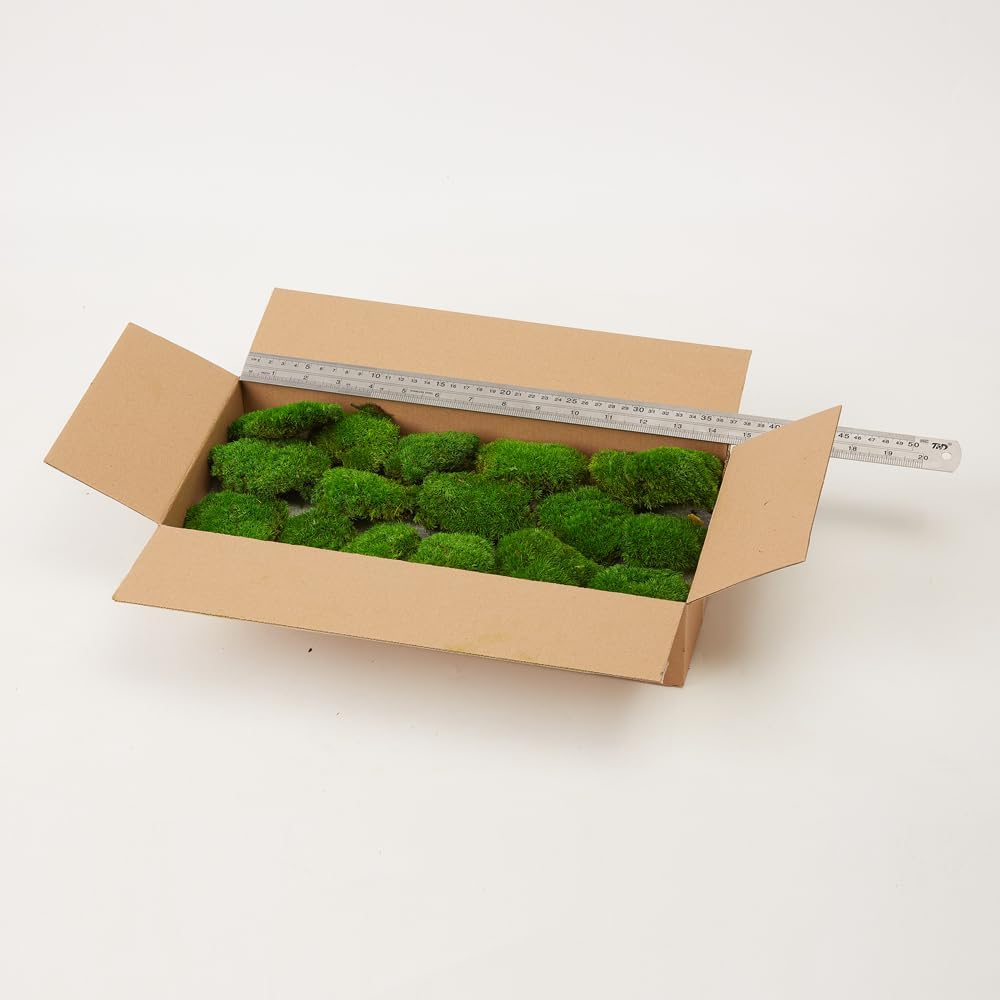 Preserved Pole Moss Pillow Bun Cushion Natural Green Decorative Real Natural Green DIY Kit Terrariums Gardenning Art Wall Decor Florist Decor Easter Table Wedding(1.5 sq.ft, Green-B)