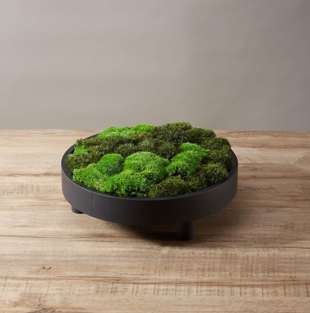 Preserved Pole Moss Pillow Bun Cushion Natural Green Decorative Real Natural Green DIY Kit Terrariums Gardenning Art Wall Decor Florist Decor Easter Table Wedding(1.5 sq.ft, Green-B)