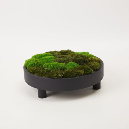 Preserved Pole Moss Pillow Bun Cushion Natural Green Decorative Real Natural Green DIY Kit Terrariums Gardenning Art Wall Decor Florist Decor Easter Table Wedding(1.5 sq.ft, Green-B)