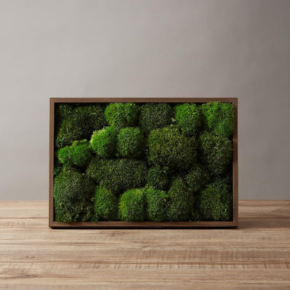 Preserved Pole Moss Pillow Bun Cushion Natural Green Decorative Real Natural Green DIY Kit Terrariums Gardenning Art Wall Decor Florist Decor Easter Table Wedding(1.5 sq.ft, Green-B)