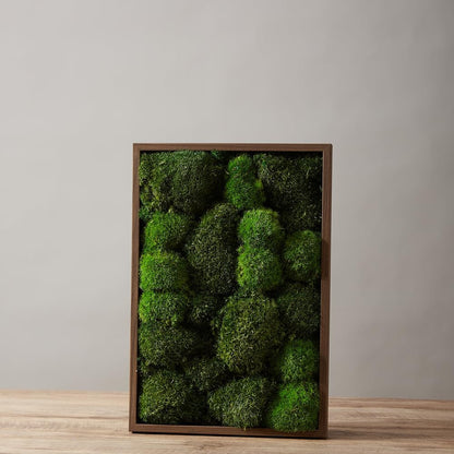 Preserved Pole Moss Pillow Bun Cushion Natural Green Decorative Real Natural Green DIY Kit Terrariums Gardenning Art Wall Decor Florist Decor Easter Table Wedding(1.5 sq.ft, Green-B)