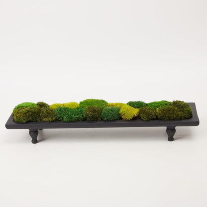 Preserved Pole Moss Pillow Bun Cushion Natural Green Decorative Real Natural Green DIY Kit Terrariums Gardenning Art Wall Decor Florist Decor Easter Table Wedding(1.5 sq.ft, Green-B)