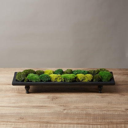 Preserved Pole Moss Pillow Bun Cushion Natural Green Decorative Real Natural Green DIY Kit Terrariums Gardenning Art Wall Decor Florist Decor Easter Table Wedding(1.5 sq.ft, Green-B)