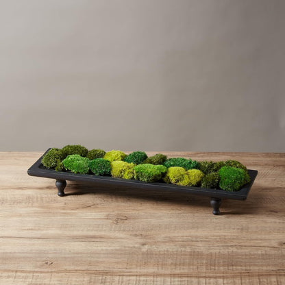 Preserved Pole Moss Pillow Bun Cushion Natural Green Decorative Real Natural Green DIY Kit Terrariums Gardenning Art Wall Decor Florist Decor Easter Table Wedding(1.5 sq.ft, Green-B)