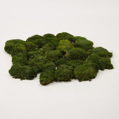 Preserved Pole Moss Pillow Bun Cushion Natural Green Decorative Real Natural Green DIY Kit Terrariums Gardenning Art Wall Decor Florist Decor Easter Table Wedding(1.5 sq.ft, Green-B)