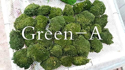 Preserved Pole Moss Pillow Bun Cushion Natural Green Decorative Real Natural Green DIY Kit Terrariums Gardenning Art Wall Decor Florist Decor Easter Table Wedding(1.5 sq.ft, Green-B)