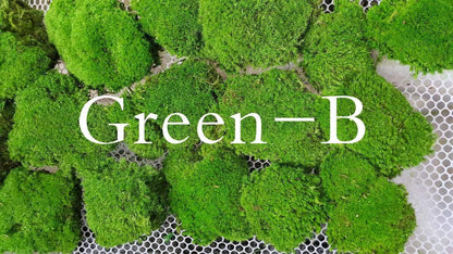 Preserved Pole Moss Pillow Bun Cushion Natural Green Decorative Real Natural Green DIY Kit Terrariums Gardenning Art Wall Decor Florist Decor Easter Table Wedding(1.5 sq.ft, Green-B)