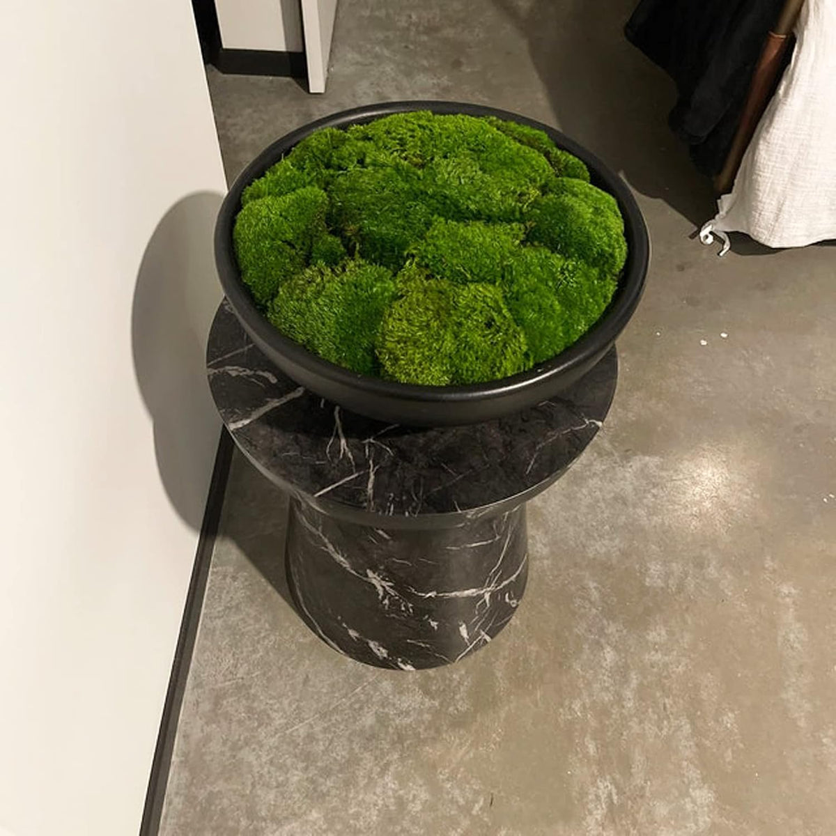 Preserved Pole Moss Pillow Bun Cushion Natural Green Decorative Real Natural Green DIY Kit Terrariums Gardenning Art Wall Decor Florist Decor Easter Table Wedding(1.5 sq.ft, Green-B)