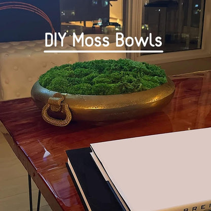 Preserved Pole Moss Pillow Bun Cushion Natural Green Decorative Real Natural Green DIY Kit Terrariums Gardenning Art Wall Decor Florist Decor Easter Table Wedding(1.5 sq.ft, Green-B)