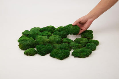 Preserved Pole Moss Pillow Bun Cushion Natural Green Decorative Real Natural Green DIY Kit Terrariums Gardenning Art Wall Decor Florist Decor Easter Table Wedding(1.5 sq.ft, Green-B)