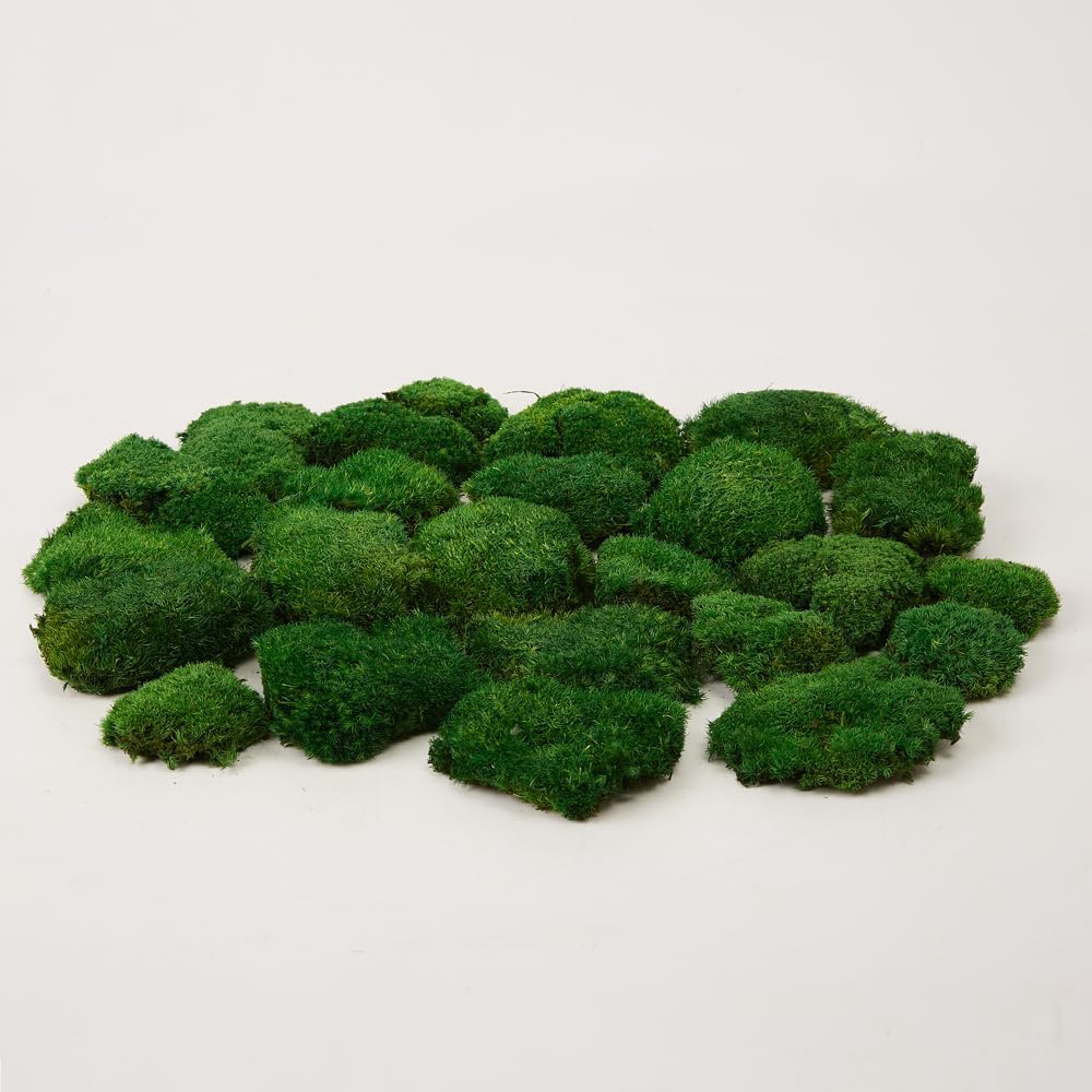 Preserved Pole Moss Pillow Bun Cushion Natural Green Decorative Real Natural Green DIY Kit Terrariums Gardenning Art Wall Decor Florist Decor Easter Table Wedding(1.5 sq.ft, Green-B)
