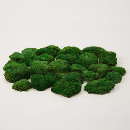 Preserved Pole Moss Pillow Bun Cushion Natural Green Decorative Real Natural Green DIY Kit Terrariums Gardenning Art Wall Decor Florist Decor Easter Table Wedding(1.5 sq.ft, Green-B)
