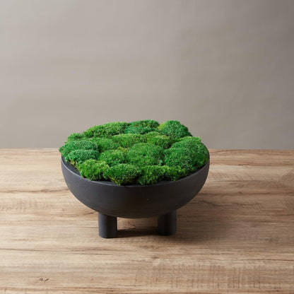 Preserved Pole Moss Pillow Bun Cushion Natural Green Decorative Real Natural Green DIY Kit Terrariums Gardenning Art Wall Decor Florist Decor Easter Table Wedding(1.5 sq.ft, Green-B)