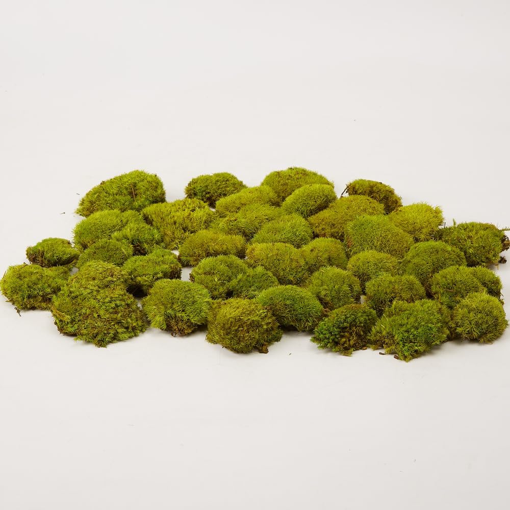 Preserved Pole Moss Pillow Bun Cushion Natural Green Decorative Real Natural Green DIY Kit Terrariums Gardenning Art Wall Decor Florist Decor Easter Table Wedding(1.5 sq.ft, Green-B)
