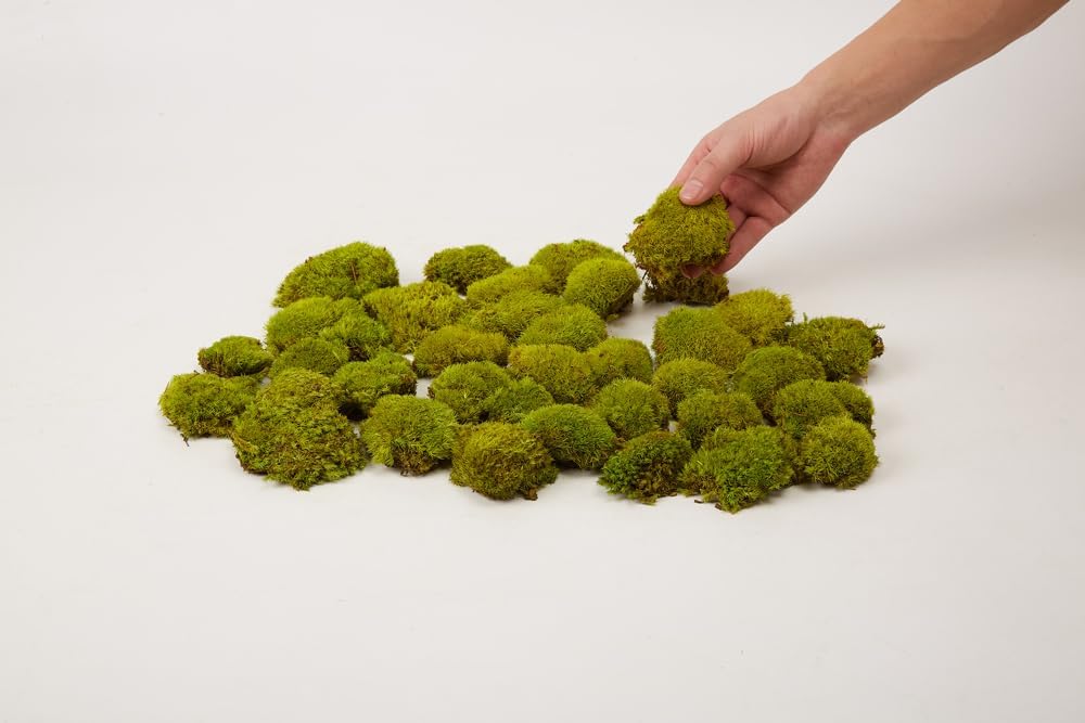 Preserved Pole Moss Pillow Bun Cushion Natural Green Decorative Real Natural Green DIY Kit Terrariums Gardenning Art Wall Decor Florist Decor Easter Table Wedding(1.5 sq.ft, Green-B)