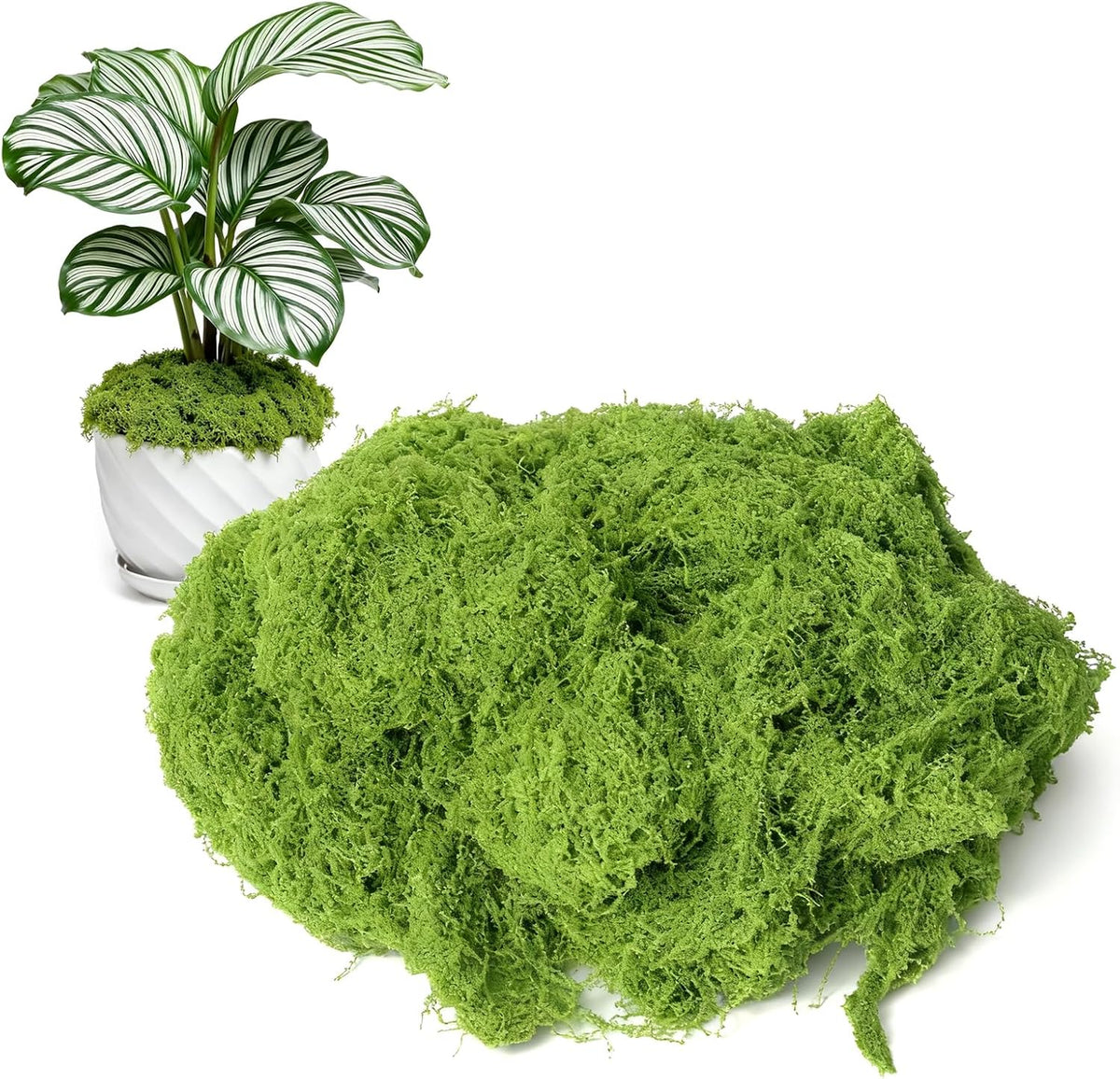 50g/1.76oz Fake Moss for Crafts, Light Green Plants Indoor, DIY Decorative Moss for Fairy Garden Floral Wedding Model Making Glass Containers Home